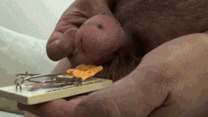 webcam dominatrice seance domination097